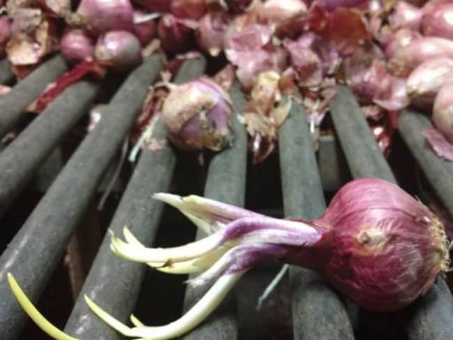 En Manizales se tiene una reducción en los precios de la canasta familiar de hasta un 30%