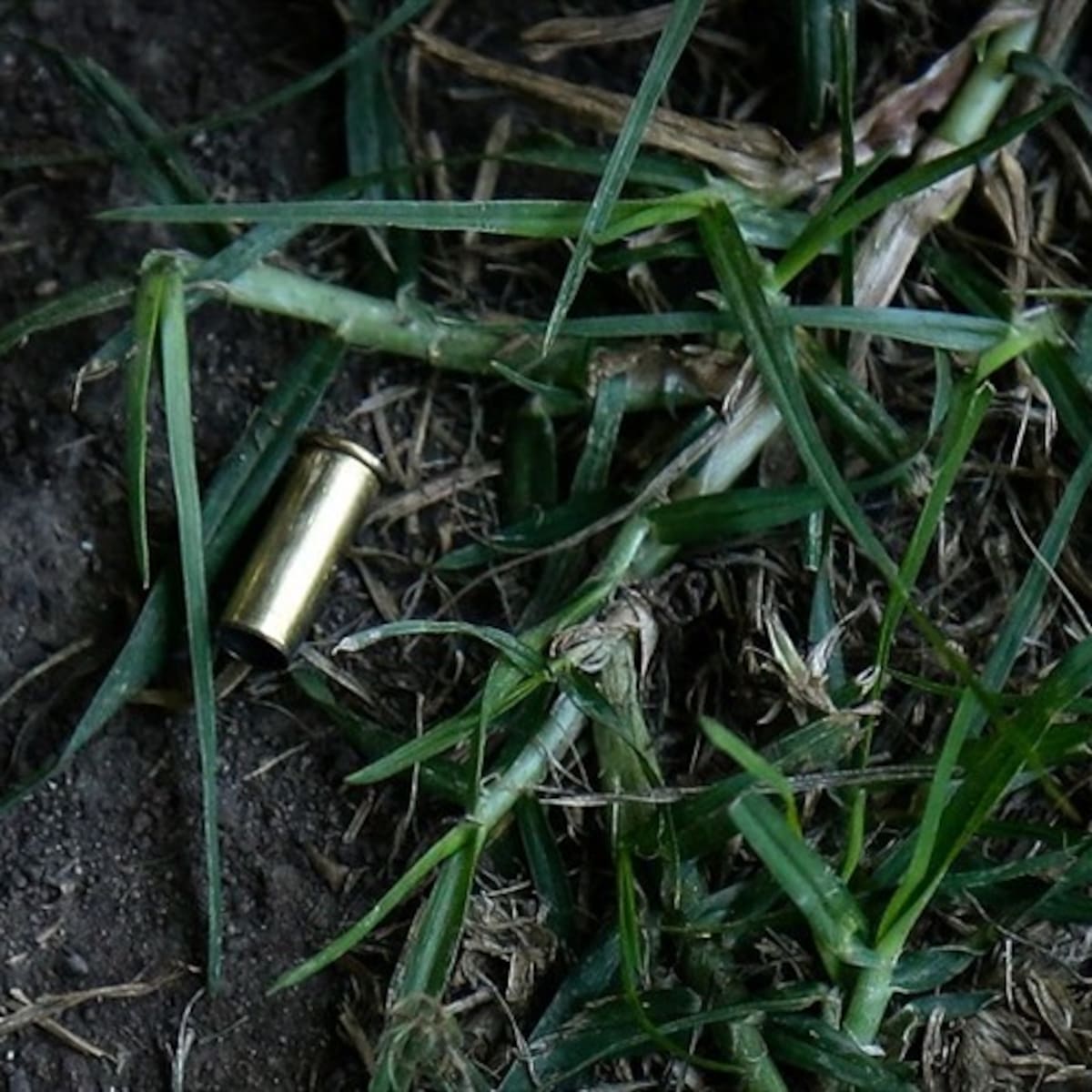 Dos hombres fueron asesinados y abandonados en un cañaduzal de Candelaria, Valle