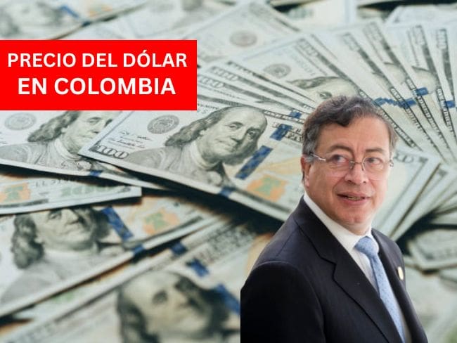 Precio del dólar en Colombia para este 27 de enero de 2026 Foto: Getty Images