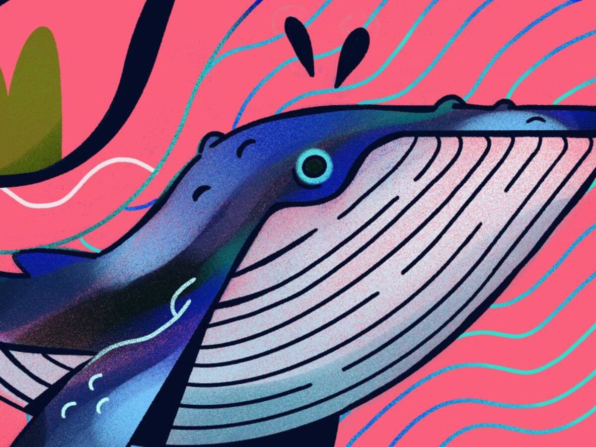 Desde la orilla - Sergio Tapias