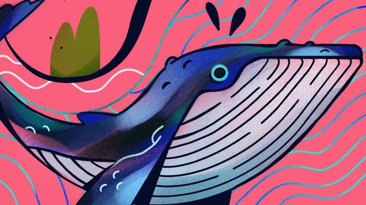 Postales: Desde la orilla - Sergio Tapias