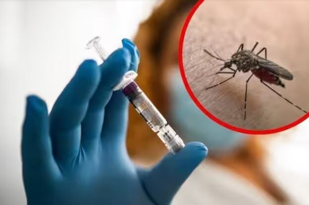 vacunas y mosquito transmisor- Caracol Radio