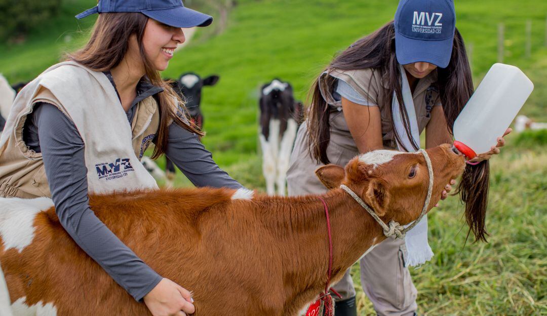 Estudiantes veterinaria y zootecnia