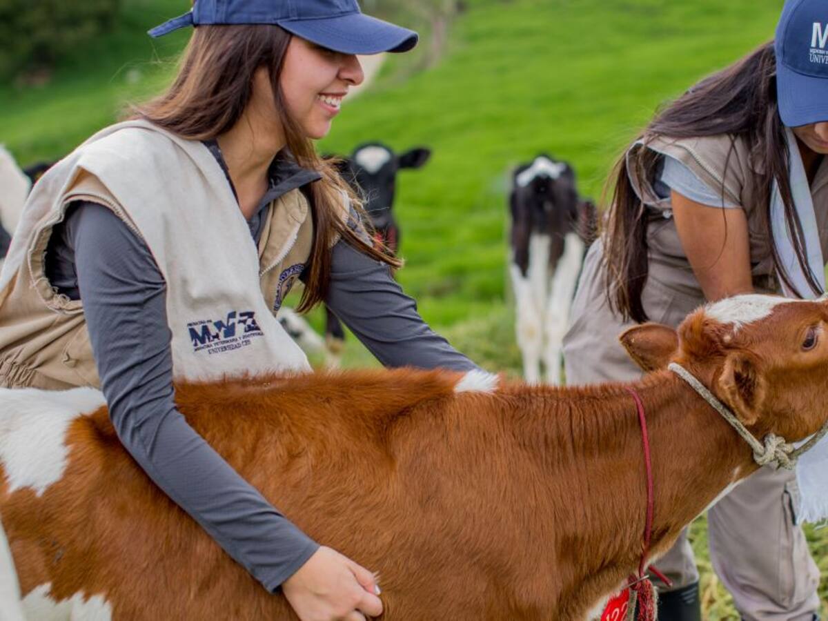 El 2021, año de enormes retos para los futuros profesionales del campo