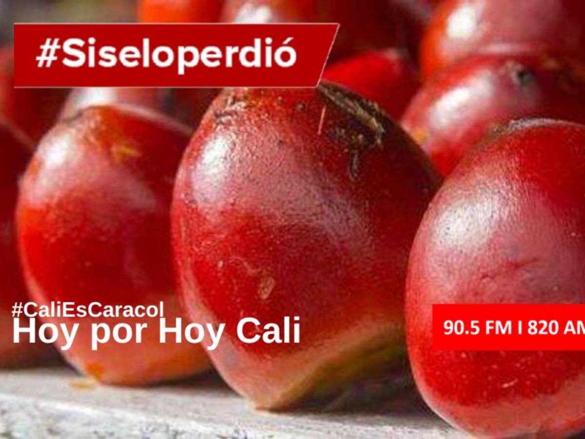 Cali Hoy por Hoy 01 de octubre del 2020