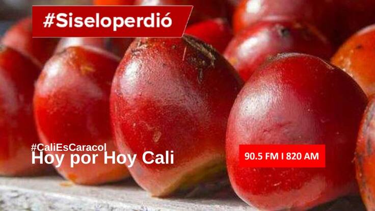 Cali Hoy por Hoy 01 de octubre del 2020