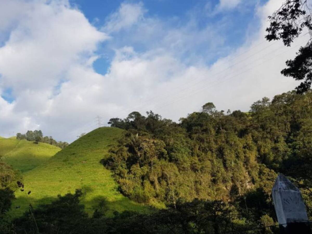 Una pareja desapareció en la zona de páramo entre Tolima y el Valle