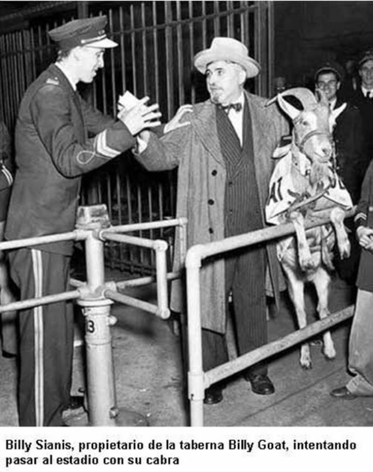 La maldición de la Cabra. En octubre 1945, Billy Sianis, propietario de una taberna de Chicago quiso entrar a un partido de los Cubs con su cabra asegurando que era un animal talismán. Le prohibieron la entrada y echó una maldición a los Cubs que todavía perdura hoy.