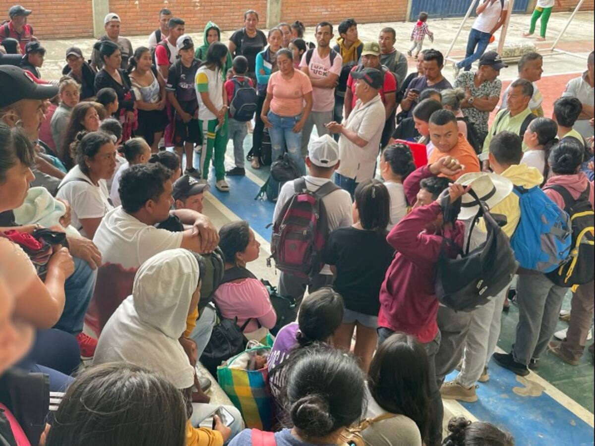 Defensoría: Comunidades de Argelia, Cauca en riesgo por consolidación de grupos armados