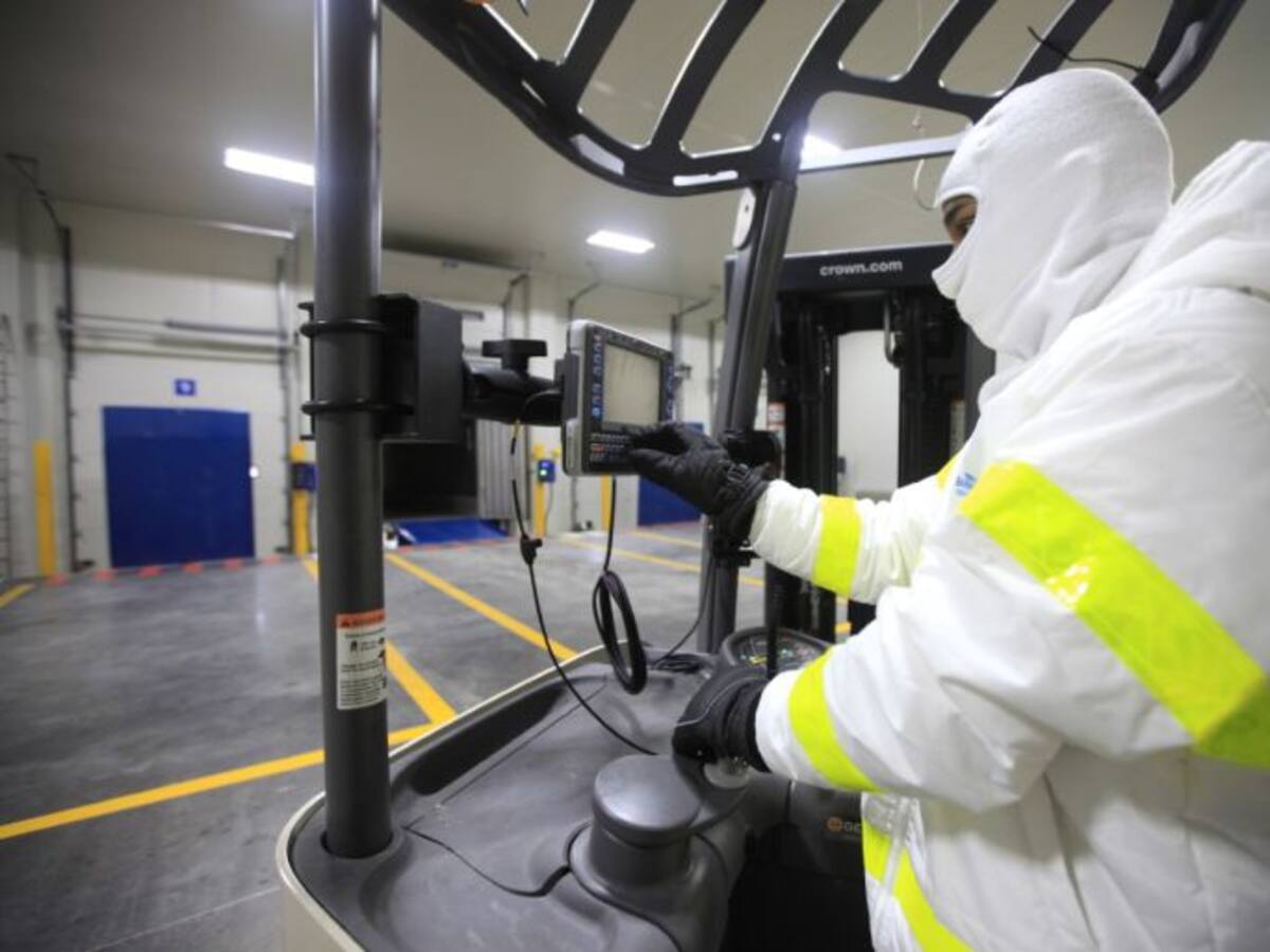 ICA certificó al puerto de Barranquilla para exportación de aguacates