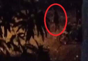 El joven que se lanzó al arroyo.