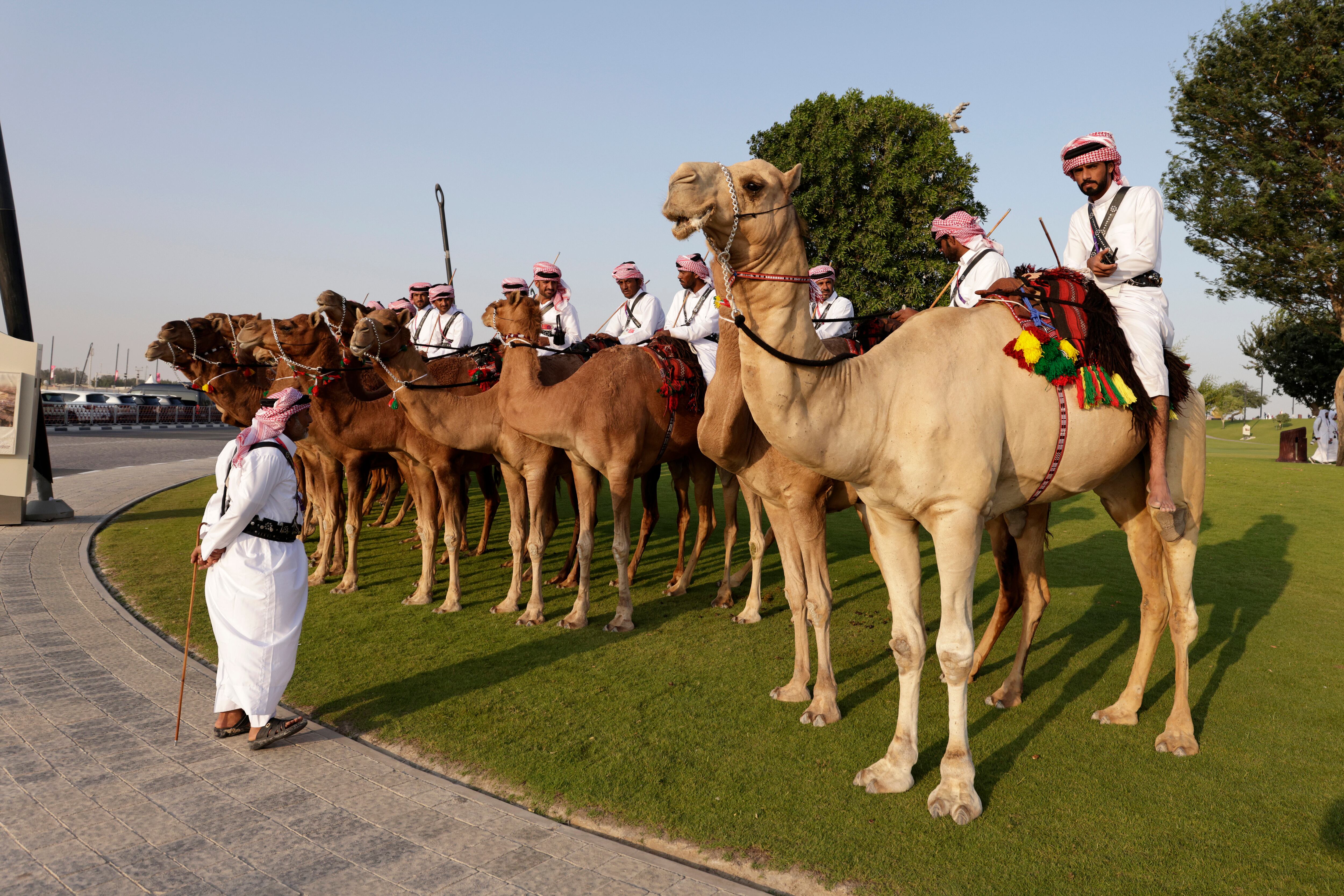 AL KHOR, QATAR - NOVEMBER 20: Qatari Amiri Guard on Camels lined up at the Qatar welcome party at the Al Bayt Stadium before the FIFA World Cup Qatar 2022 Group A match between Qatar and Ecuador at Al Bayt Stadium on November 20, 2022 in Al Khor, Qatar. (Photo by Richard Sellers/Getty Images)