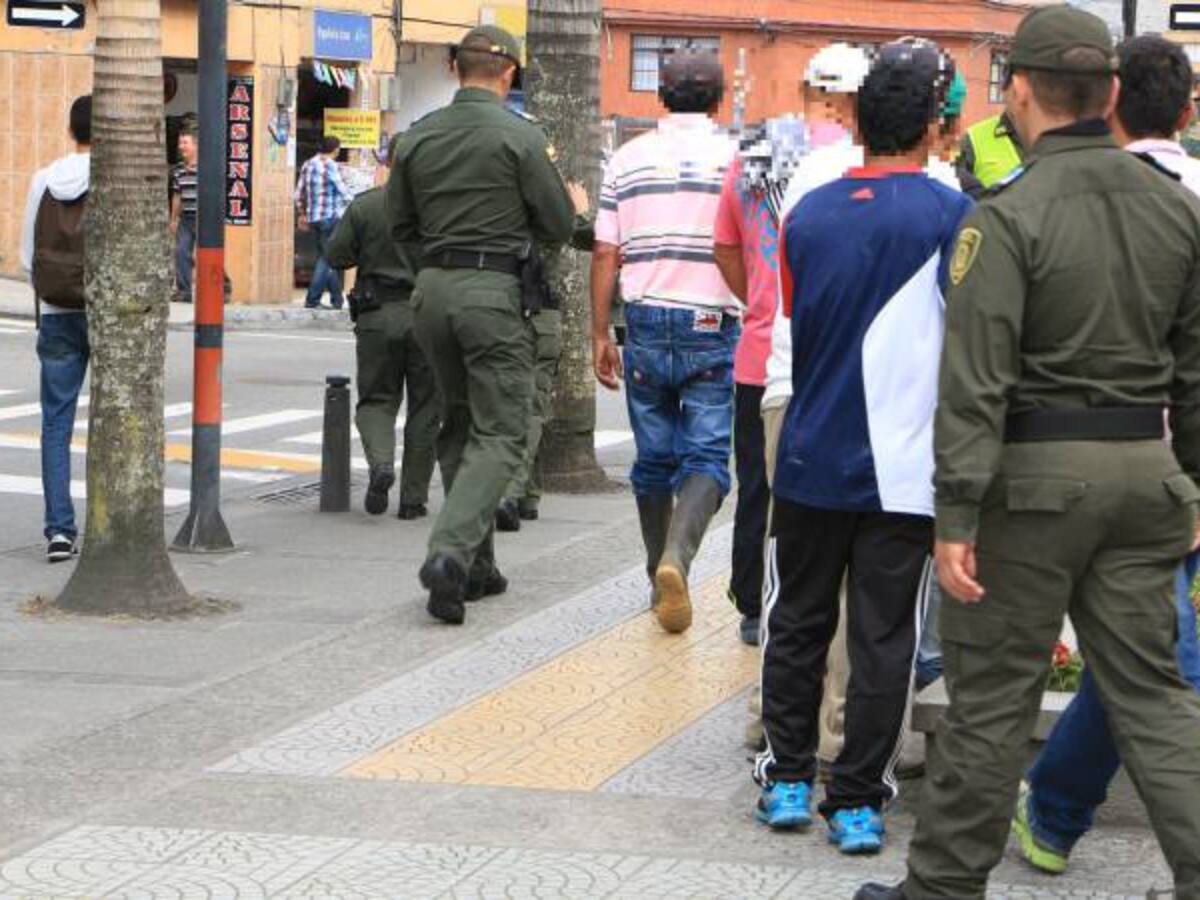 Decomisan 645 guaduales que fueron cortados de una zona protegida