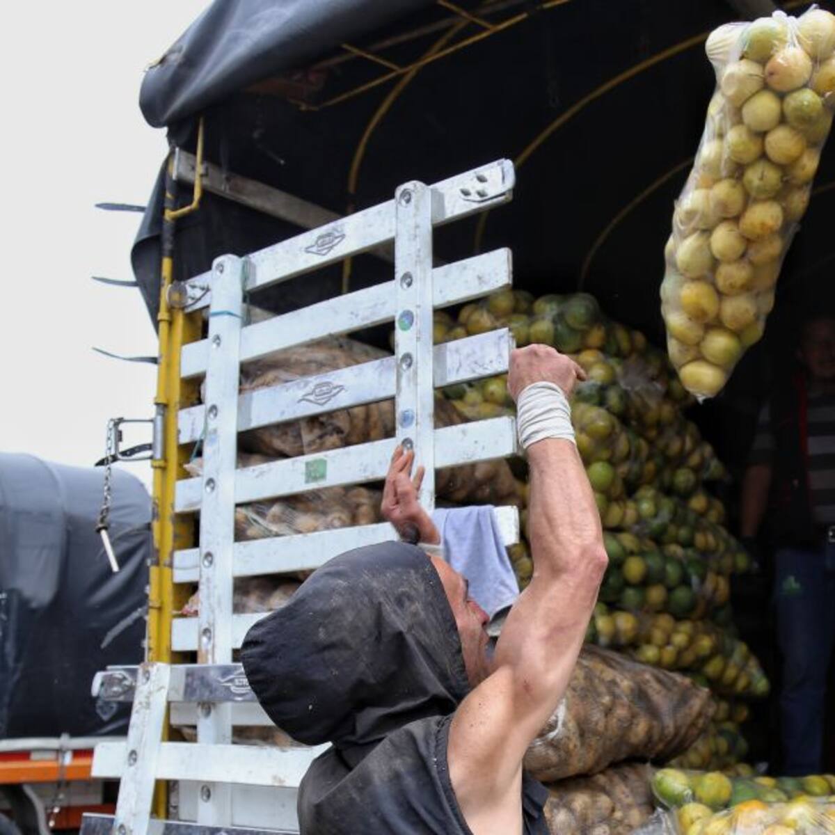 Productores agrícolas de Risaralda denuncian sobre costos en fletes