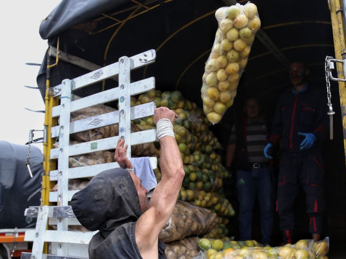 Productores agrícolas de Risaralda denuncian sobre costos en fletes