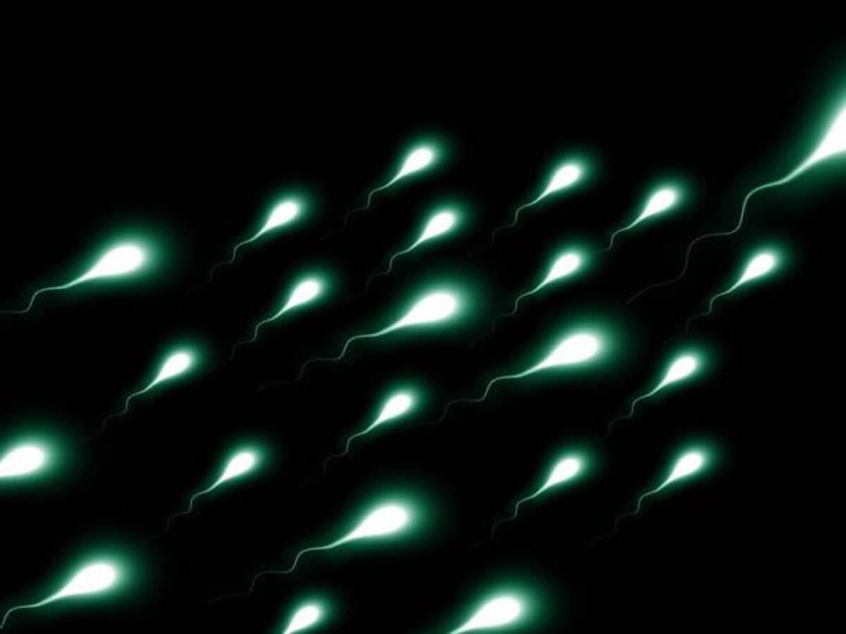 Ser fiel al Partido Comunista, un requisito para donar esperma en China