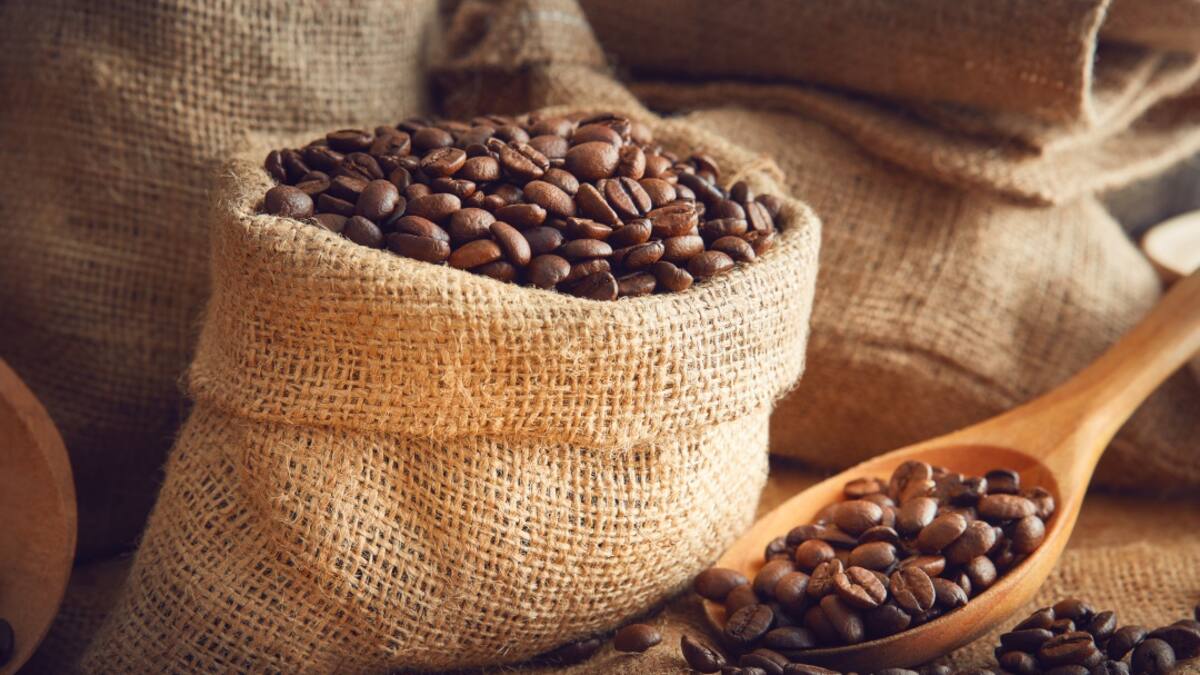 Todo listo para la Cuna del Café