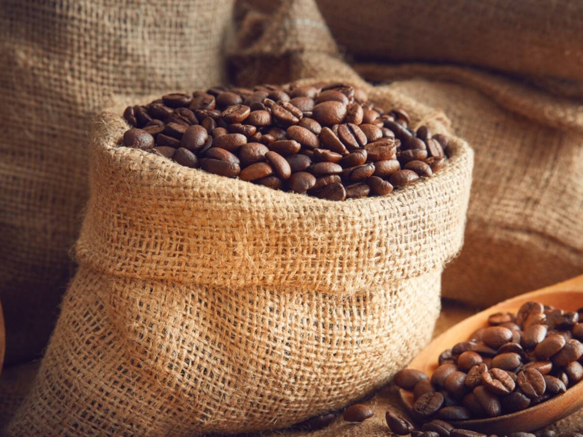 Todo listo para la Cuna del Café