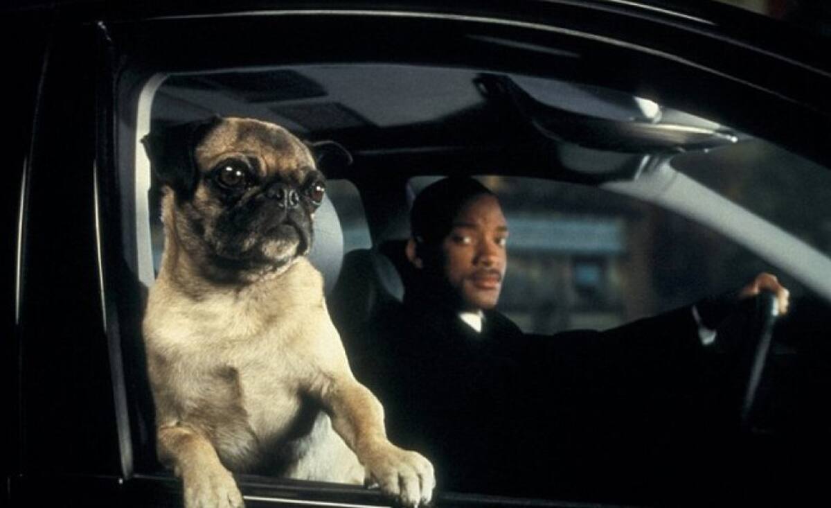 Frank, quien aparece en 'Men in Black'