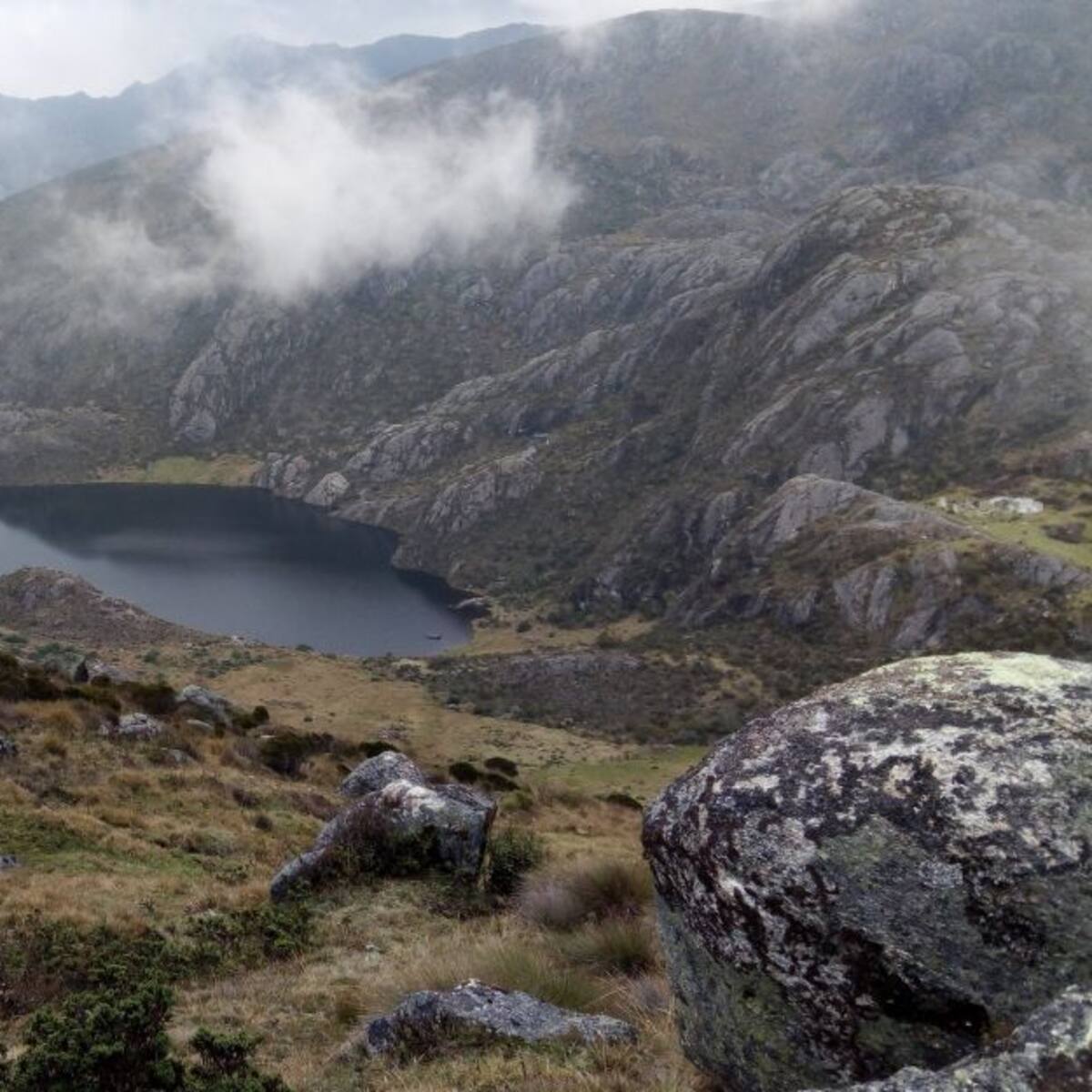 Alcaldía comprará más predios en Santurbán