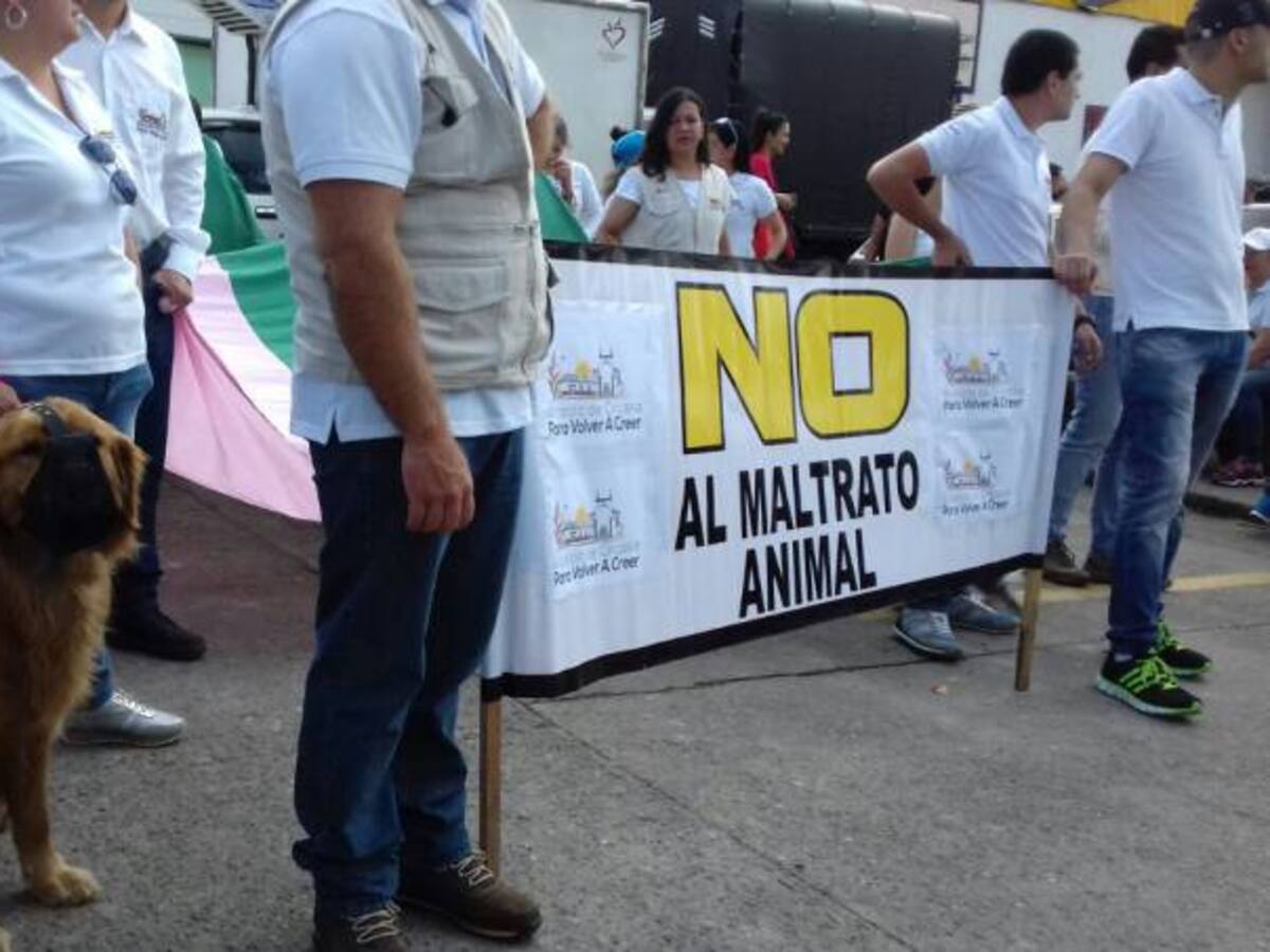 (VIDEO) En Circasia, Quindío rechazaron el sacrificio irregular de animales callejeros