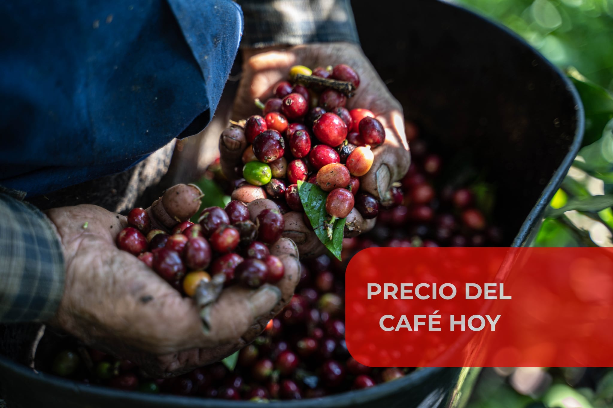 Credito: Bloomberg Creative // Getty imagenes