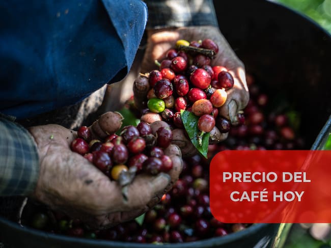 Credito: Bloomberg Creative // Getty imagenes