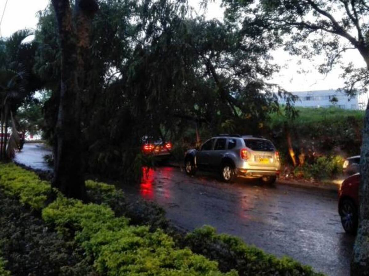 Lluvias provocan la primera víctima en Ibagué