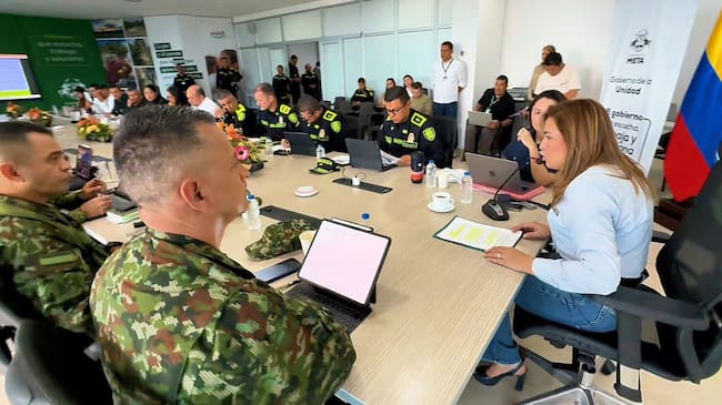 Consejo Extraordonario de Seguridad en el Meta