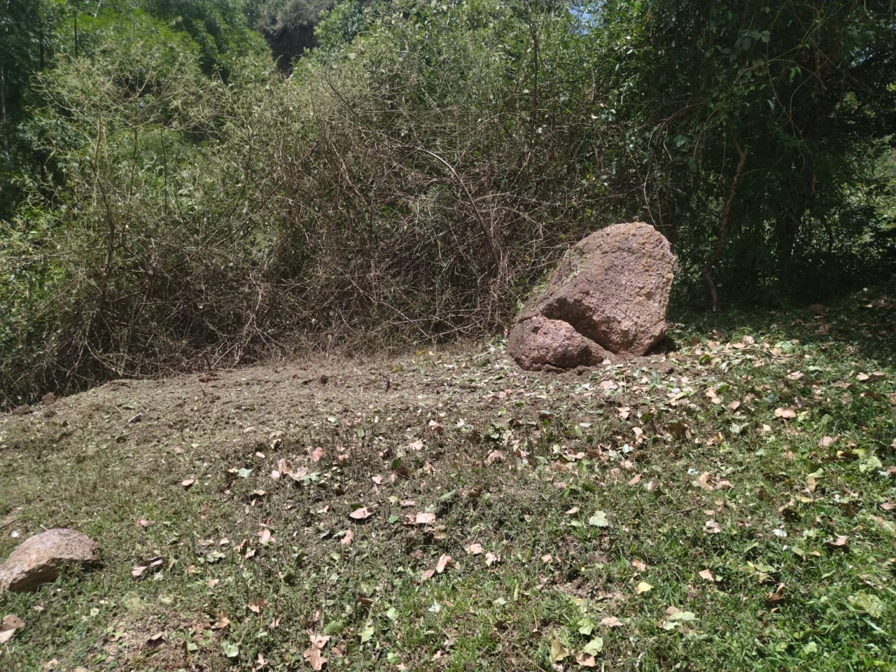 El elemento fue ubicado gracias a la información entregada por la comunidad.
