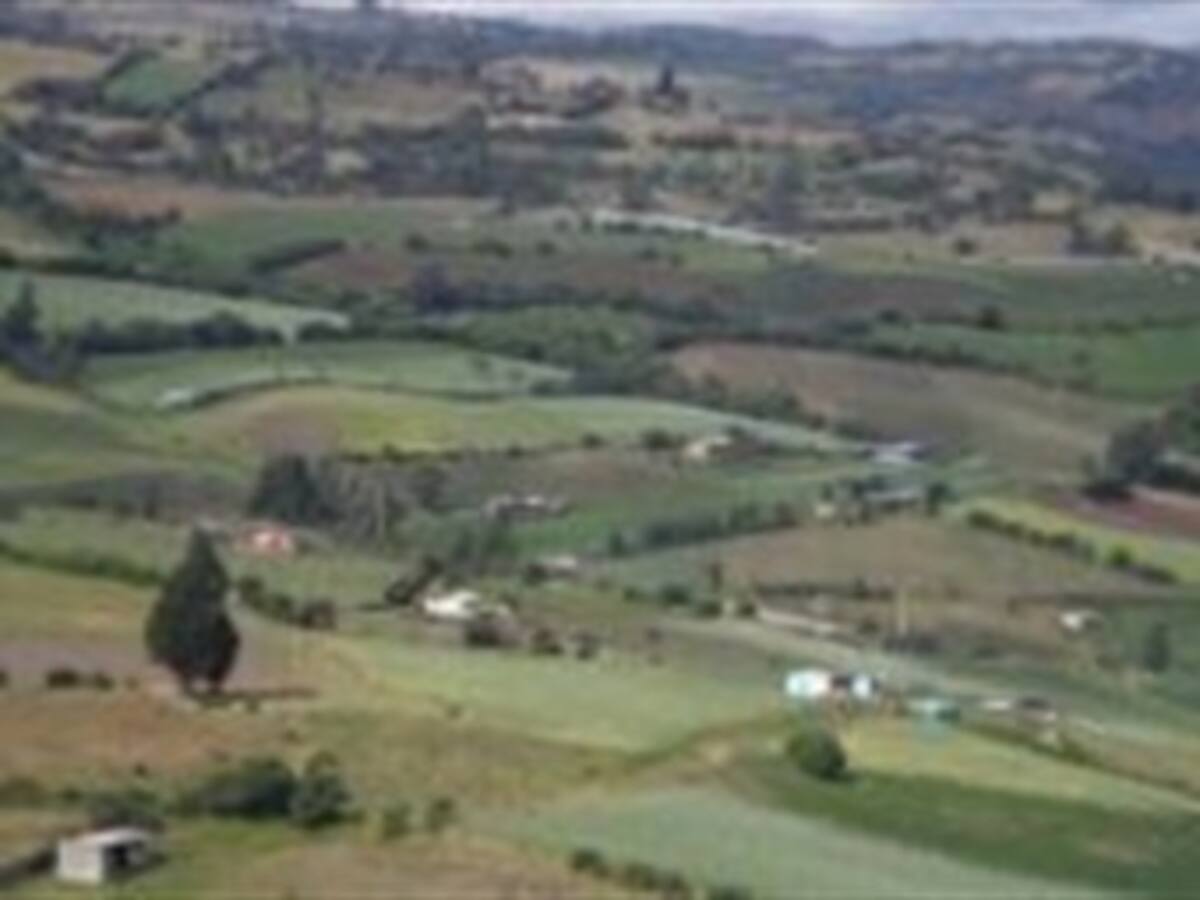 Distrito busca hacer turísticas las zonas rurales de la ciudad