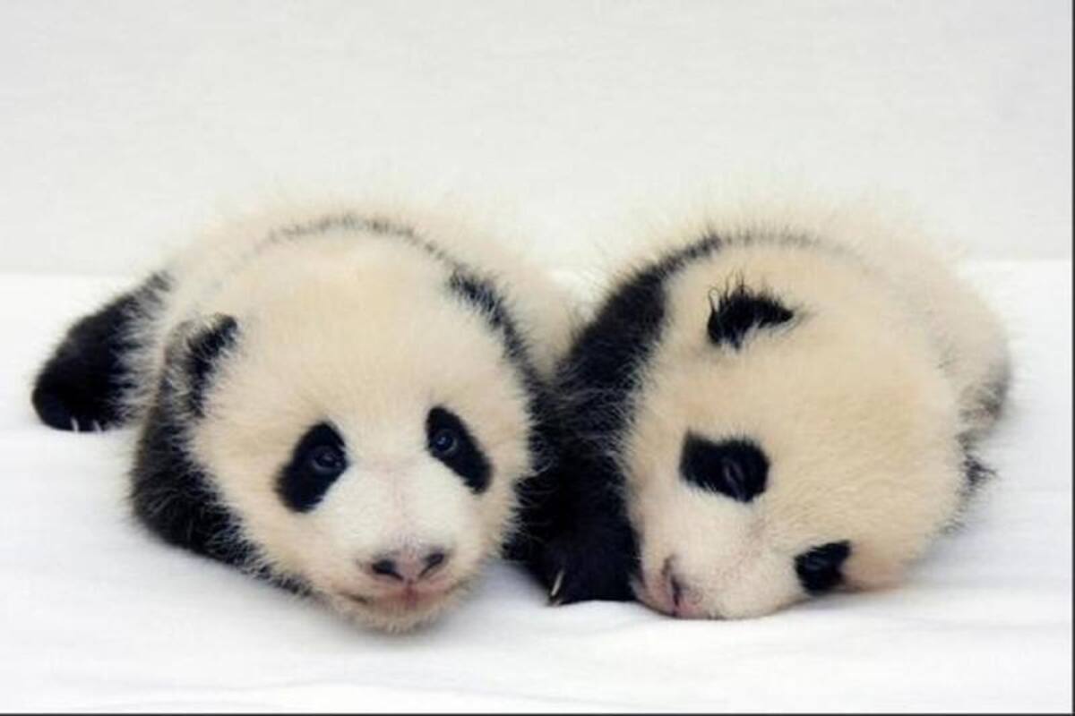 Foto:http://www.huffingtonpost.es/