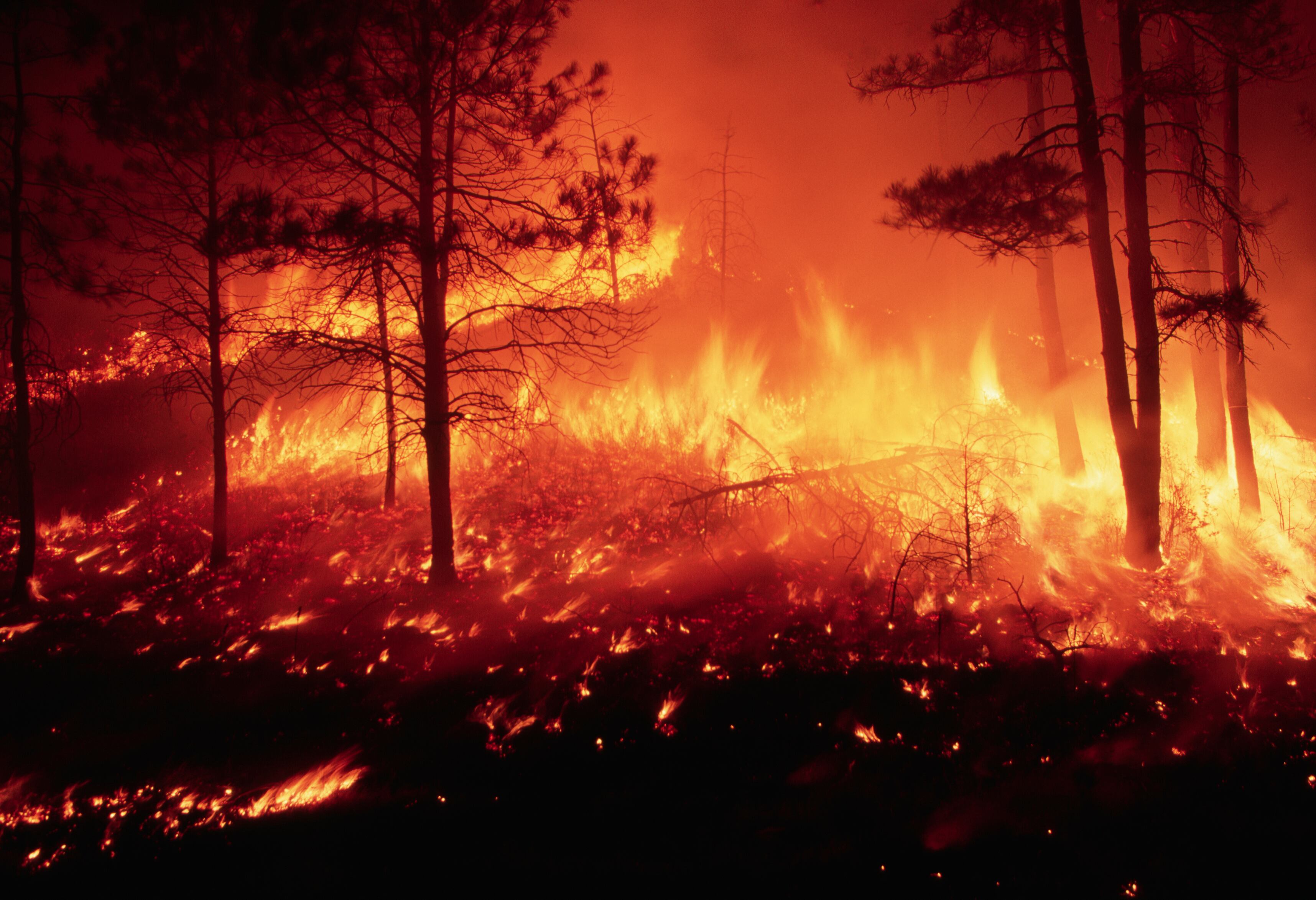 Imagen de referencia de infencio - Getty Images