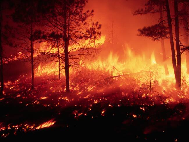 Imagen de referencia de infencio - Getty Images