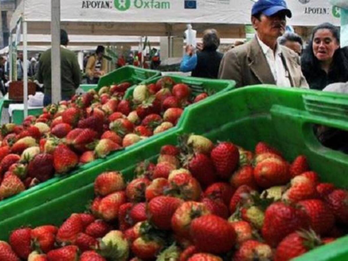 Vamos a mercar: los precios del limón “siguen por las nubes”