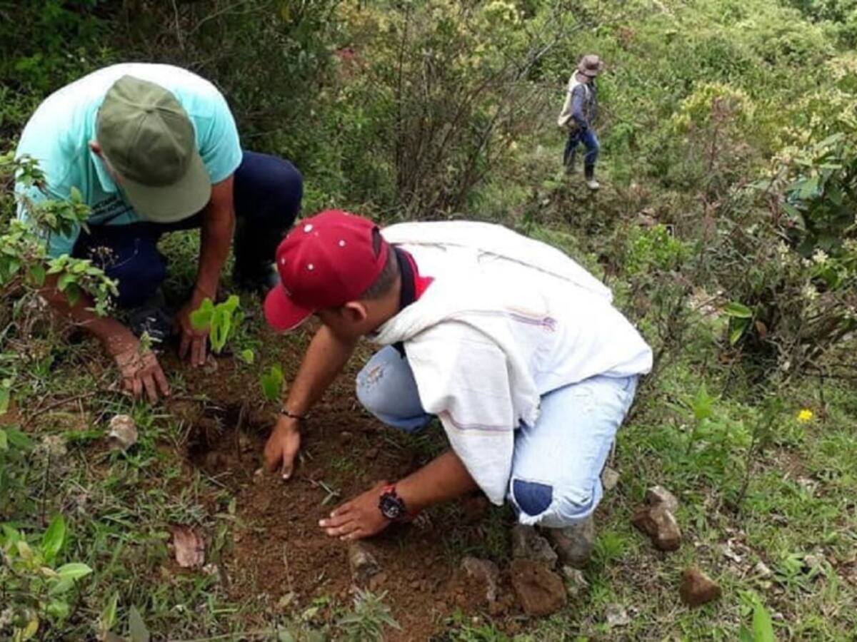 Evitar los incendios forestares es prioridad en Sopetrán, Antioquia
