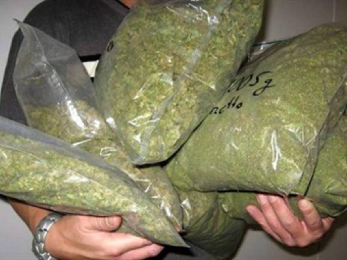 Farmacias uruguayas se ofrecen a vender marihuana oficial