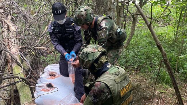 Disidencias de las Farc y ELN pretendían atentar contra la fuerza pública