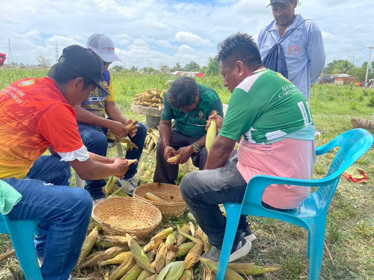 Cabildos indígenas realizan actividades de integración en Cartagena