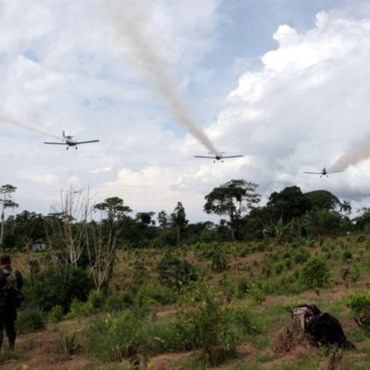 Consejo de Estado aceptó demanda contra el decreto que reguló el uso de glifosato