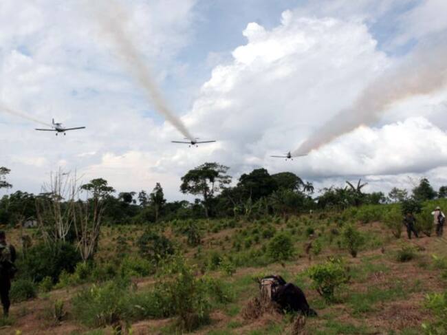 Fumigación de cultivos ilícitos con gligosato