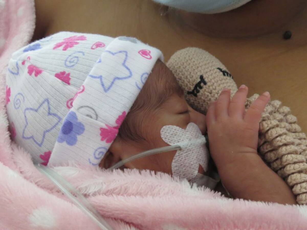 Pulpos terapéuticos para bebés prematuros en Hospital San Juan de Dios