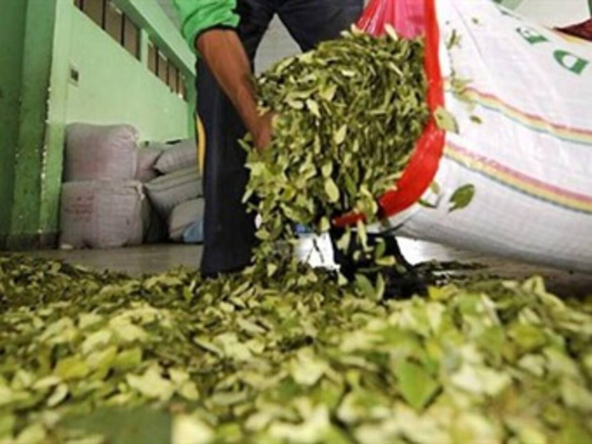 Producir hoja de coca ya no es negocio, según campesinos de Guaviare