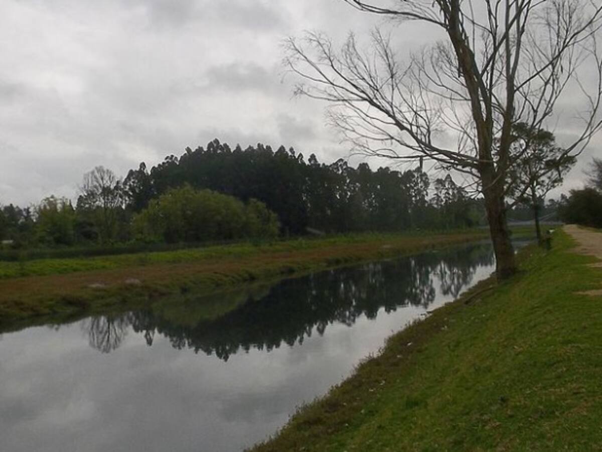 Magistrados piden fortalecer trabajo interinstitucional para recuperar el Río Bogotá