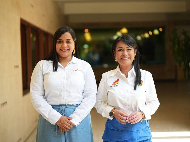 Buscan 40 profesionales para el Sistema Distrital de Formación Artística y Cultural