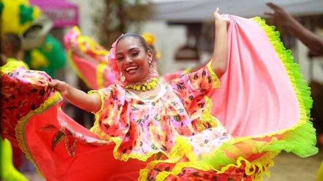 La Convocatoria va dirigida a la elección de los representantes de las organizaciones no gubernamentales culturales y entidades sin ánimo de lucro