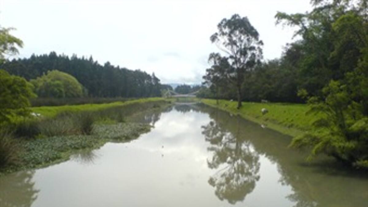 Tomarán contramuestra del río Bogotá