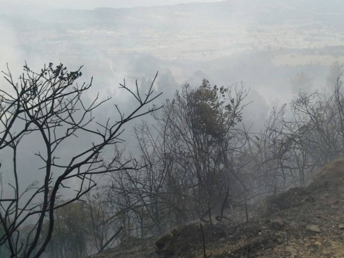 Incendio forestal se presenta en Paipa, Boyacá