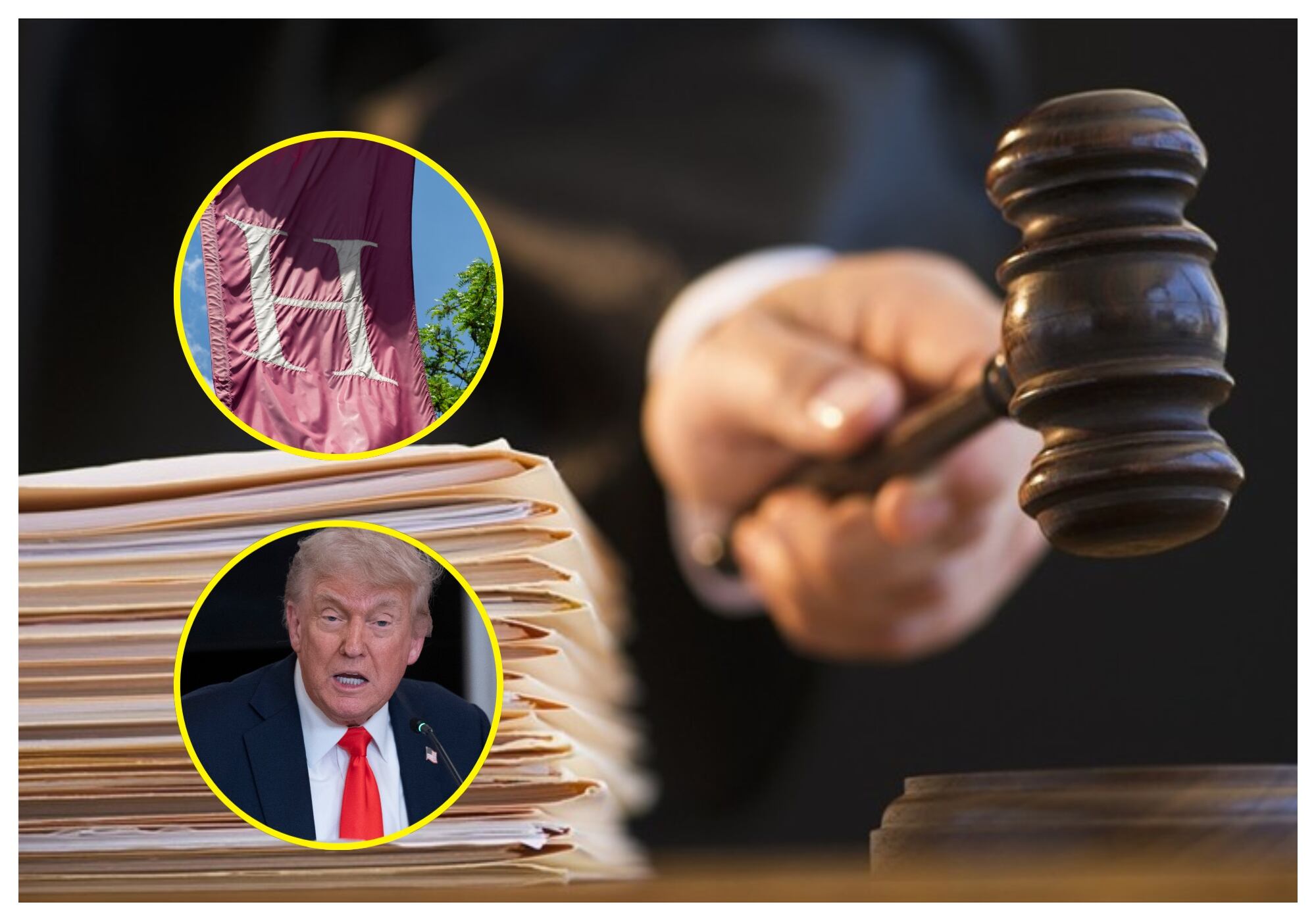 Justicia bloqueó último veto de Trump a los estudiantes extranjeros en Harvard - Foto: EFE/Getty Images.