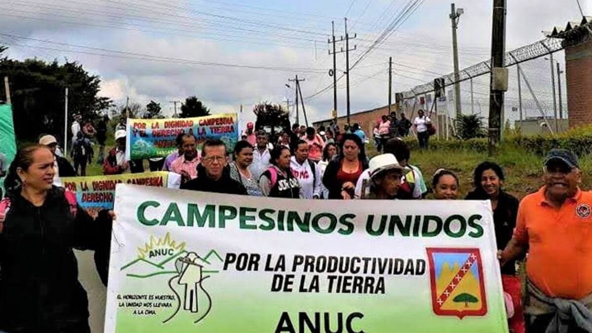 Campesinos anuncian nuevo paro indefinido en Cauca